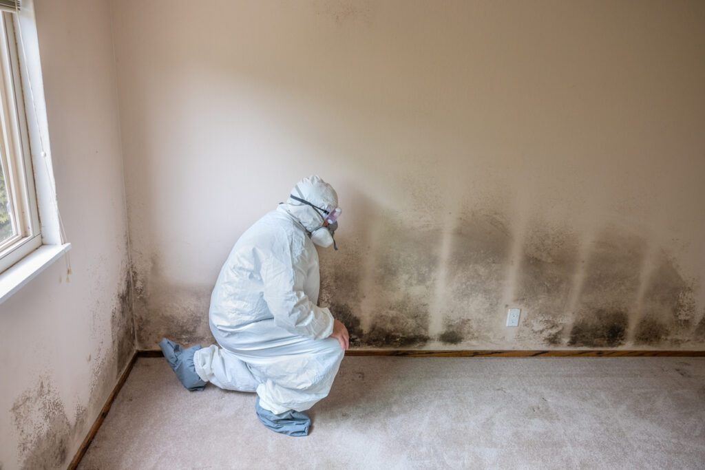 Mold on walls of home